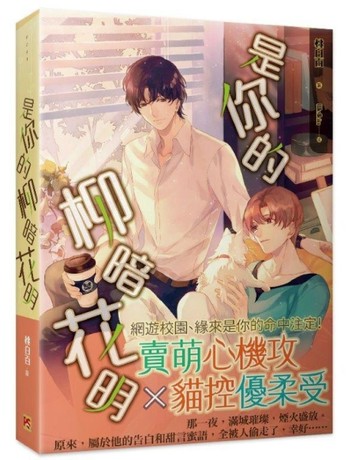 是你的柳暗花明[二手書_良好]
