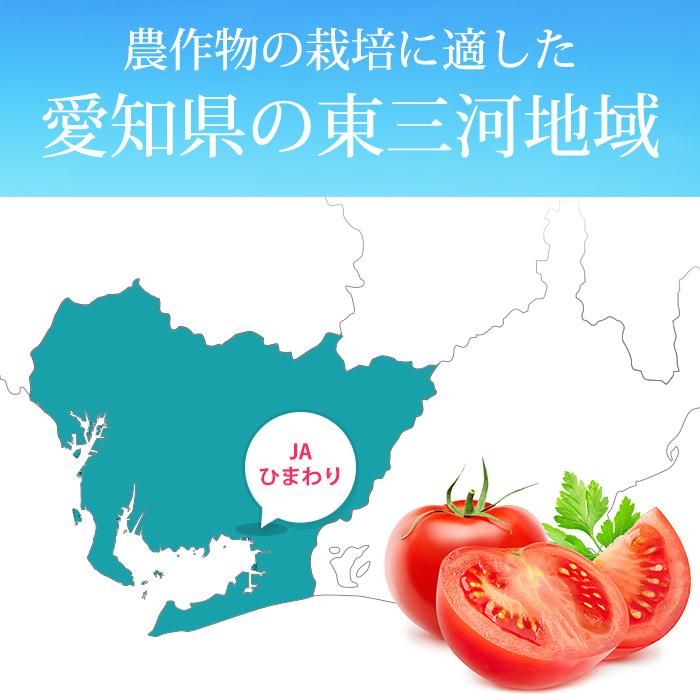 フルーツトマト 愛知県産 高糖度 ロッソトマト 約1kg Mサイズ 14〜18個