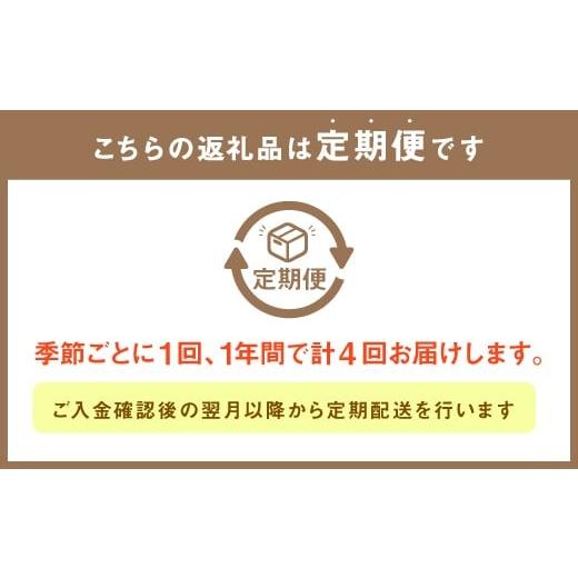 ふるさと納税 福岡県 嘉麻市 旬を感じるお野菜 定期便 年4回 季節 野菜セット