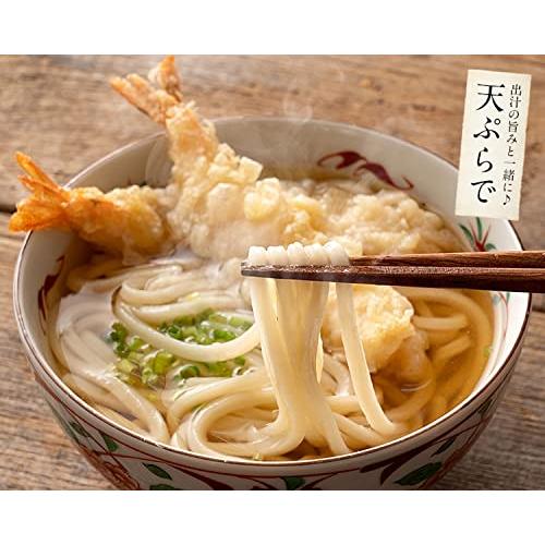 港ダイニングしおそう 讃岐生うどん 普通麺 300g (9人前) 100ｇ×3袋 麺 生麺 うどん ウドン 讃岐 さぬきうどん 讃岐うどん グルメ 食