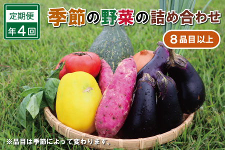 季節の野菜 詰め合わせ 8品以上年4回 春夏秋冬 おまかせ セット 産地直送 新鮮