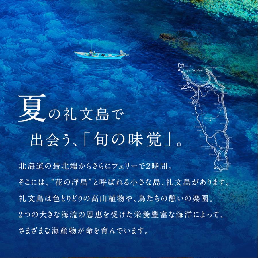 北海道 礼文・利尻島産「折詰エゾバフンウニ」 300g(150g×2) (木箱) 送料無料 ウニ うに お取り寄せ ギフト 食べ物 グルメ 海鮮 プレゼント 贈答 内祝