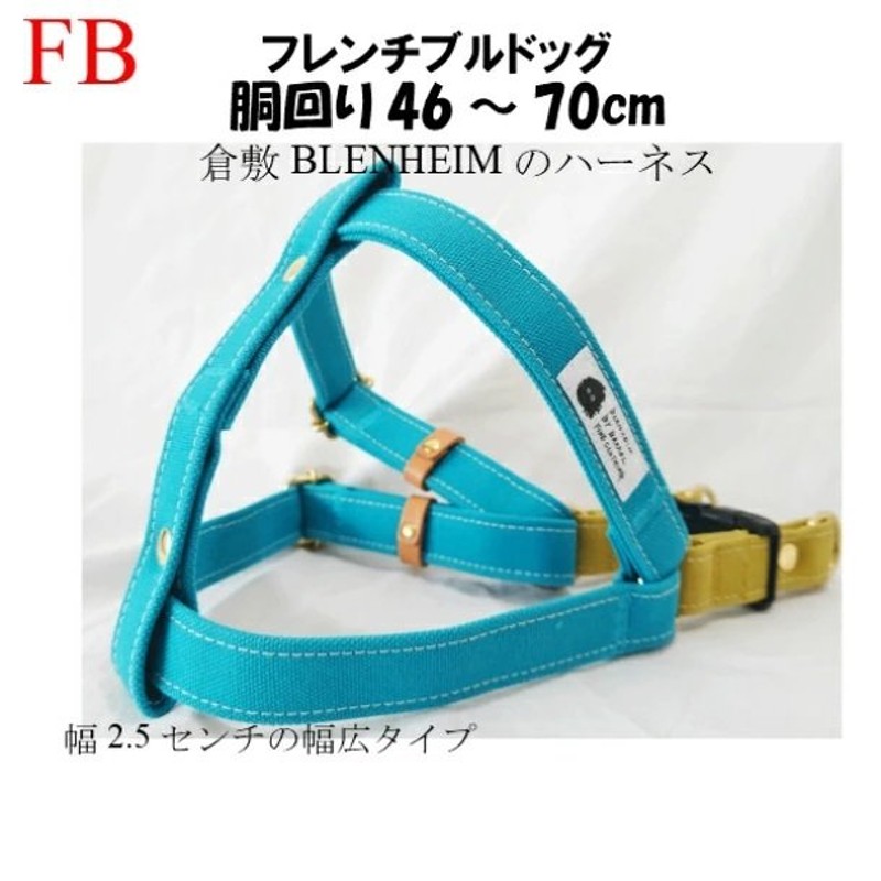 犬のハーネス 幅広タイプ フレンチブルドッグ FBサイズ グラス×コバルト 倉敷帆布 BLENHEIM 丈夫なダブルリング 犬用胴輪 幅25ｍｍ  胴回り４６〜７０ｃｍ 通販 LINEポイント最大0.5%GET | LINEショッピング