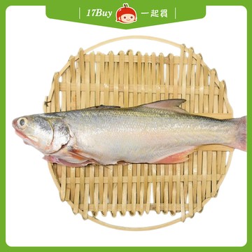 【一起買】野生午仔魚 / 250g ※買一送一，請以偶數下單