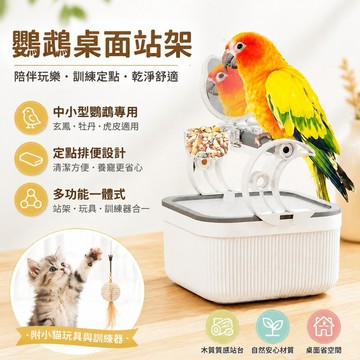 鸚鵡站架桌麵落地站臺站桿站棍站棒玄鳳牡丹虎皮專用玩具定點排便 小貓玩具 訓練器 鸚鵡玩具 鸚鵡站台 桌面 toy
