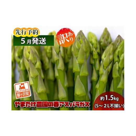 ふるさと納税 青森県 鰺ヶ沢町 やまたけ農園の春アスパラガス！約1.5kg（S〜2L不揃い）青森県鰺ヶ沢町産