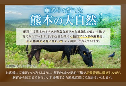 藤彩牛 ロース 焼き肉用 300g (300g×1パック) くまもと食彩の力 《180日以内に順次出荷(土日祝除く)》 熊本県 長洲町 くまもと黒毛和牛 黒毛和牛 牛肉 肉 ロース 焼き肉