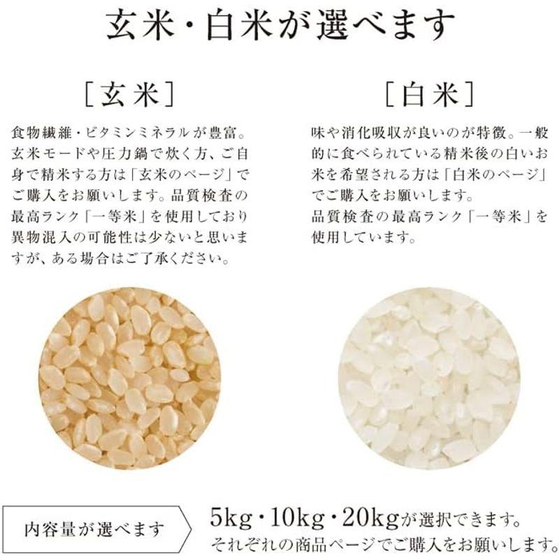 SAVE 食の極 北海道産 白米 ななつぼし プレミアム 極 20kg (10kg×2) 令和4年産 新米