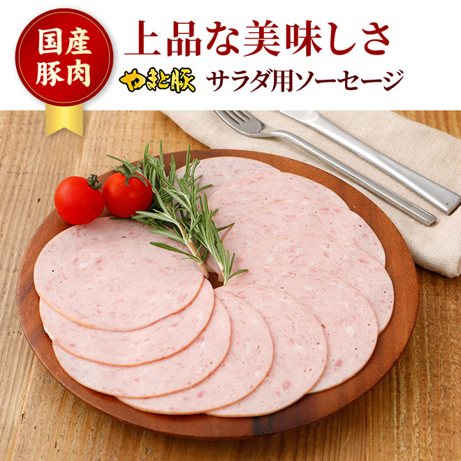 やまと豚 サラダ用ソーセージ 90g [冷蔵] ソーセージ ボロニアソーセージ お取り寄せグルメ ギフト 肉 お肉 おつまみ 食べ物 食品 取り寄せ スライス