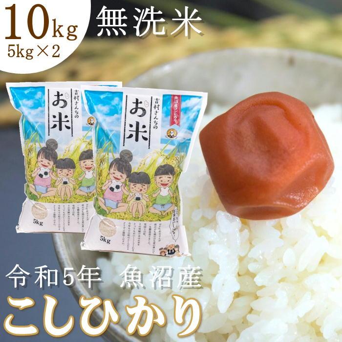 昔ながらの従来品種 令和5年産 新米 魚沼産コシヒカリ 吉村さんちのお米 無洗米 10kg （5kg×2袋） 非BL 産地直送 sea farm