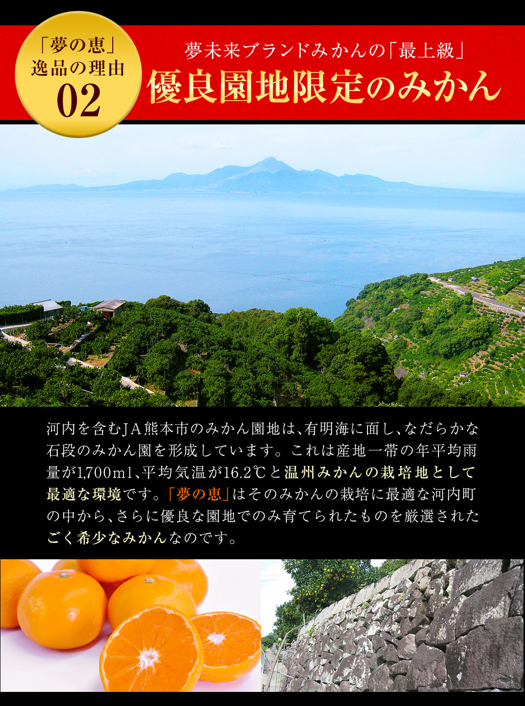 夢の恵 みかん 2.5kg前後(20玉〜30玉前後) 糖度12度以上 ブランド みかん ブランド 贈答用 糖度 12度 以上 熨斗 7-14営業日以内に発送予定(土日祝日除く)