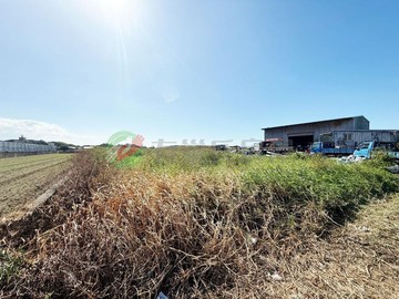 近台15沙崙美農地｜桃園市大園區沙崙