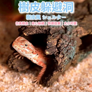 陸龜驛站｜爬蟲躲避樹洞 躲避屋 守宮鬆獅蜥 睫角巨人倉鼠玉米蛇球蟒 爬蟲躲避洞穴 躲避山洞 造景裝飾