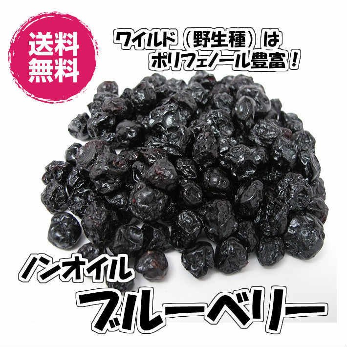 ノンオイル ブルーベリー アメリカ産 140g