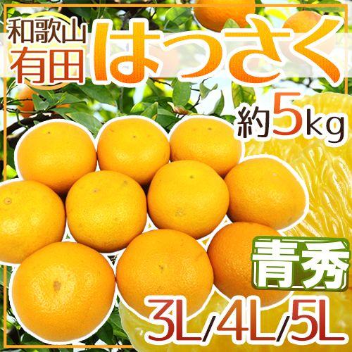 和歌山有田産 ”AQはっさく” 青秀 超大玉3L 4L 5Lサイズ 約5kg 送料無料