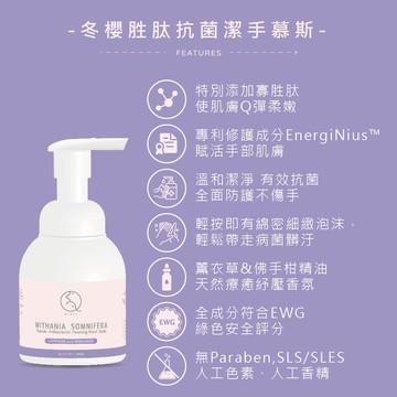 【Anbao安寶】【QIDAI懸懸]冬櫻胜肽抗菌潔手慕斯 300ml (買一送一)
