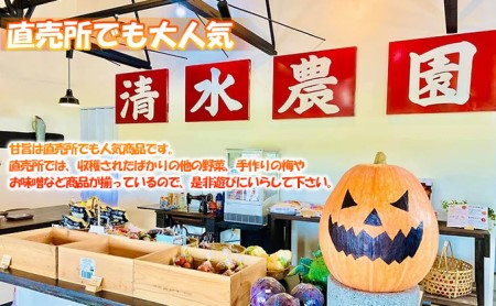 ＜2024年9月初旬よりお届け＞清水農園のかぼちゃ(甘旨）約10kg (4～6玉) 野菜 かぼちゃ 先行予約 秋野菜