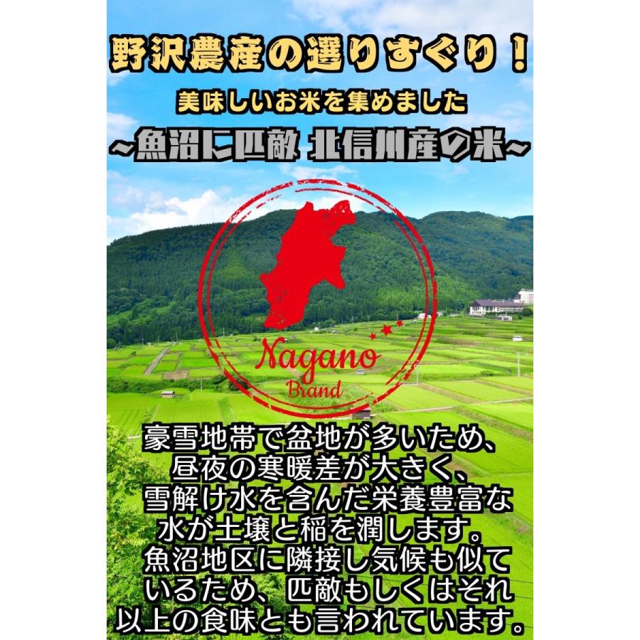 新米 令和5年産 玄米 5kg 送料無料 米 お米 コシヒカリ こしひかり 特別栽培米 野沢農産 長野県産 北信産 5キロ ブナの水