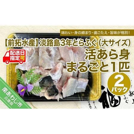 ふるさと納税 淡路島3年とらふぐ（大サイズ）活あら身まるごと1匹　2Pセット◆配送10月8日〜3月31日 兵庫県南あわじ市