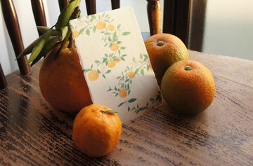 和紙明信片【橘子之環】