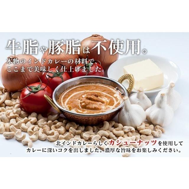 カレー ダールチキンカレー 180g×10袋 箱なし 送料無料 レトルト