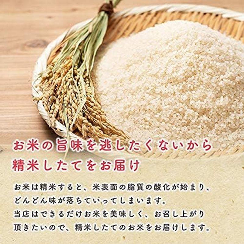 こまちライン 秋田県産あきたこまち 無洗米 5kg 令和3年産