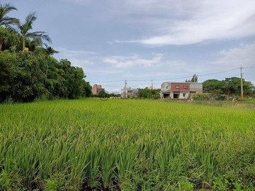 （觀音向陽農場437美農地）｜桃園市觀音區藍埔段