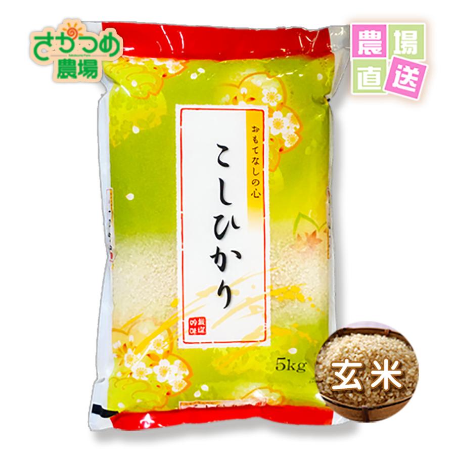 お米　コシヒカリ　20kg　令和5年　新潟産　特別栽培　玄米　送料無料　産地直送