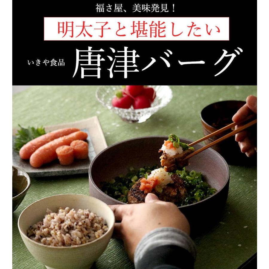 明太子に合う!さとふるで1位の唐津バーグとご飯のお供セット 福さ屋 お歳暮 ギフト