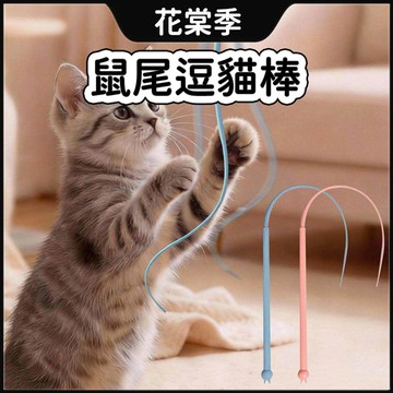 鼠尾逗貓棒 貓咪玩具 逗貓玩具 老鼠尾巴逗貓棒 仿真老鼠尾巴逗貓棒 逗貓棒 貓咪逗貓棒 貓玩具