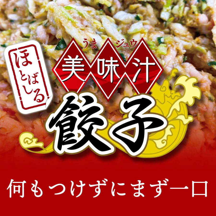 冷凍生餃子 肉汁あふれる本格派 美味汁餃子50個入1箱  送料込み