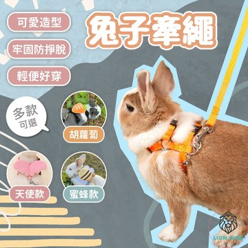 【獅子王寵物】🦁兔子牽繩 兔子外出牽引繩 胡蘿蔔 牽引繩 兔牽繩 兔子胸背牽繩 外出放風繩 紅蘿蔔寵物牽繩 B101