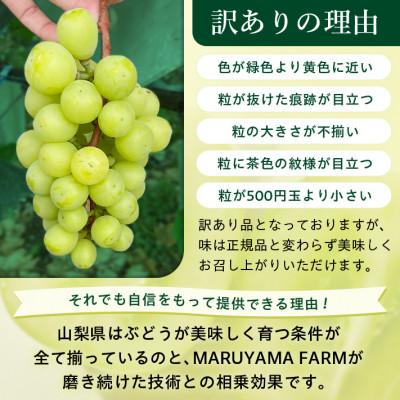 ふるさと納税 山梨市 シャインマスカット 3〜4房 1.5〜2kg