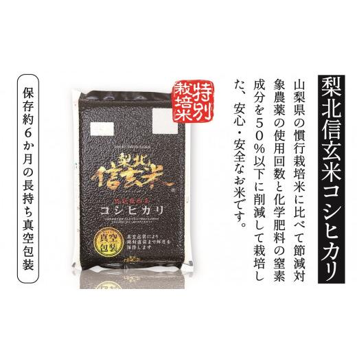 ふるさと納税 山梨県 笛吹市 山梨県産米5kg×2種セット