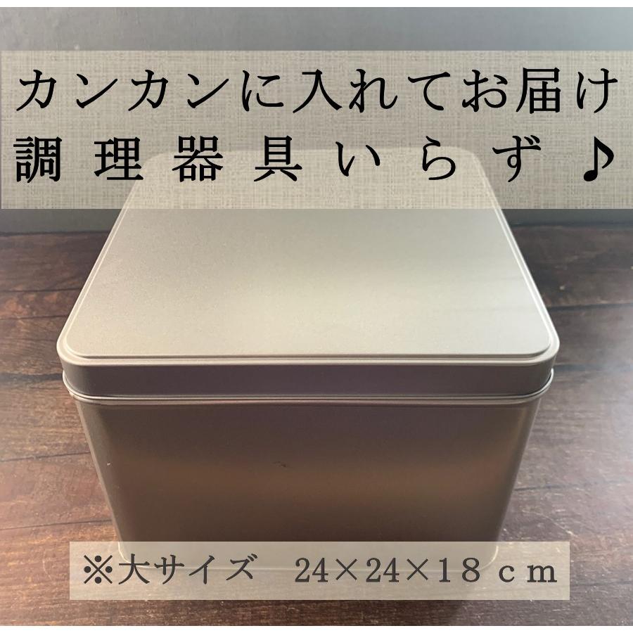 海老たっぷりガンガン焼き　8人前　赤エビ　ホタテ　ブラックタイガー　冷凍便　送料無料　BBQ　キャンプ飯　鍋パーティー