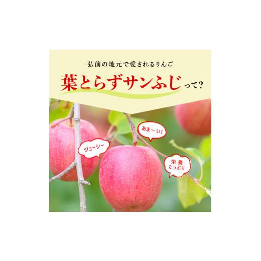 ふるさと納税 青森県 弘前市 （13度糖度保証）訳あり家庭用葉とらずサンふじ約10kg