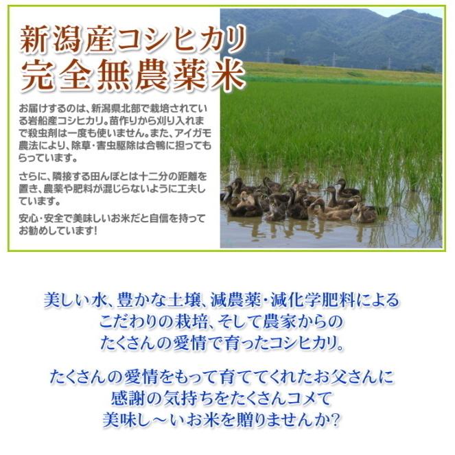 父の日 プレゼント お米 4kg 農薬不使用 希少米コシヒカリ 無洗米 メッセージカード付き 新潟米 産地直送 人気 おしゃれ お祝い 父 送料無料