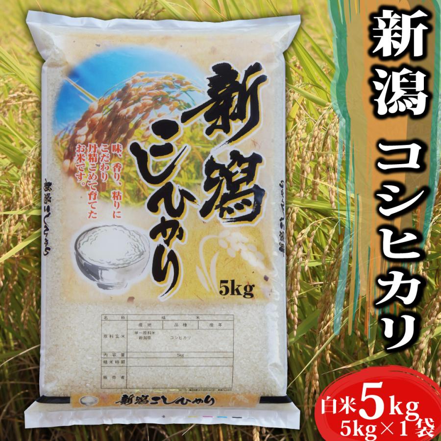 新米 令和5年 お米 5kg  送料無料 新潟県産 コシヒカリ 白米 5kg （5kg×1袋）｜ 米 おこめ お米 5kg 白米 送料無料 ｜ LINE友達登録で5%OFFクーポンン