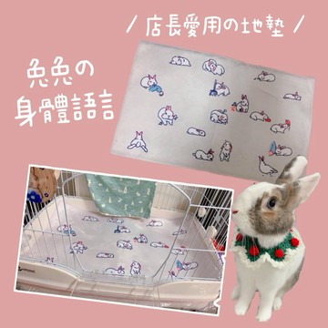 哈密兔事·兔兔身體語言地墊｜好清理看評價 兔子專用地墊 兔兔身體語言 防滑棉柔地墊 兔子地墊兔子睡墊兔子腳墊 養兔用品