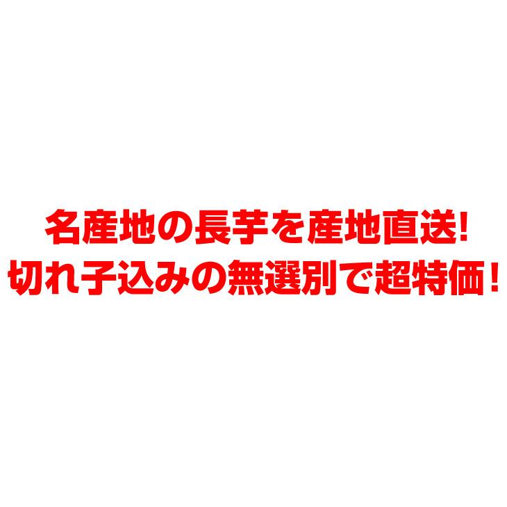 長いも 2.5kg 土付き長いも 青森産 500g×5袋 規格外 切れ子 送料無料 食品