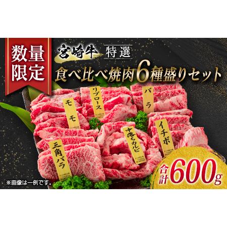 ふるさと納税 数量限定≪特選≫宮崎牛食べ比べ焼肉6種盛りセット(合計600g)　 肉　牛　牛肉 EB6-21 宮崎県日南市