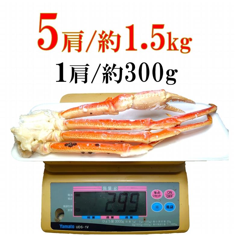 本ズワイ かに カニ 蟹 ずわいがに ボイルズワイガニ 5肩 約1.5kg 足 特盛 海鮮 魚介類海産物 ギフト 送料無料