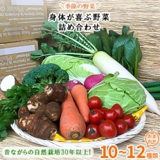 自然栽培『身体が喜ぶ野菜』詰め合わせ(おまかせ)潮来はぐくみのもり