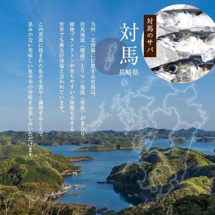 骨まで食べられる魚 干物 さばの干物 約50g×2枚 サバ 鯖 ひもの 干物セット 塩焼き 焼き魚 おつまみ おかず 国産 長崎県産 対馬