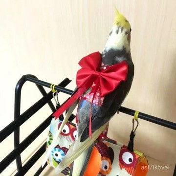 🔥免運+限時下殺🔥鸚鵡服裝 鸚鵡尿不濕 鸚鵡飛行服 小鳥披風 鸚鵡保暖 鸚鵡小鬥篷鸚鵡披風玄鳳鸚鵡定製漢服尿不濕玄鳳衣服