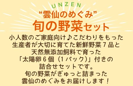 ”雲仙のめぐみ”旬の野菜セット（Ｓ） 8～10品目セット