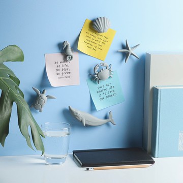 QUALY 海潮之生磁鐵(單入組)