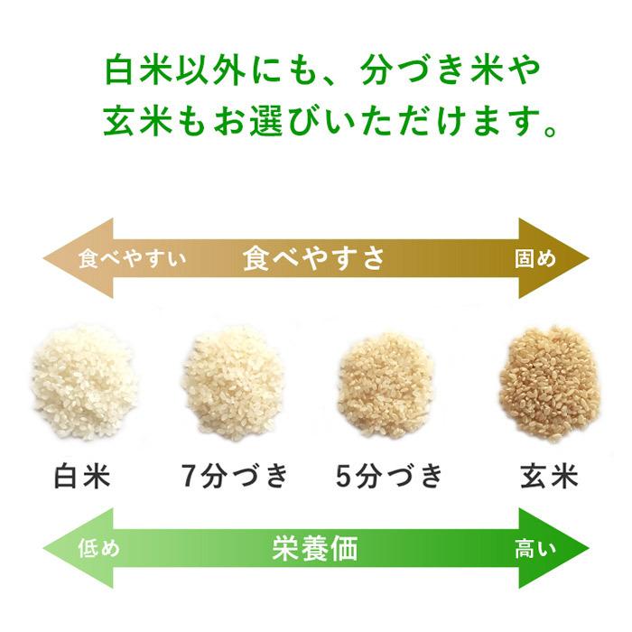 令和5年産 特別栽培米 森のくまさん 5kg 選べる精米歩合 お米 白米 玄米 5分づき 7分づき 熊本県産 農薬不使用 化学肥料不使用 