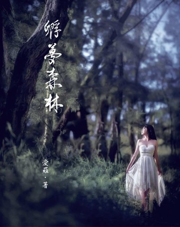 孵夢森林[二手書_良好]