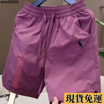 🌺限時低價🌺 2025新款男士夏季速幹打孔透氣休閒短褲刺繡百搭簡約潮流五分褲排汗短褲直筒薄款五分褲男